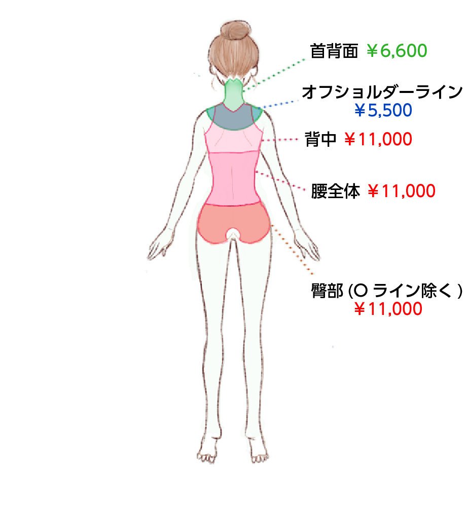 女性背面 | 医療レーザー脱毛