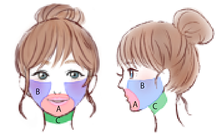 女性の顔範囲 | 医療レーザー脱毛