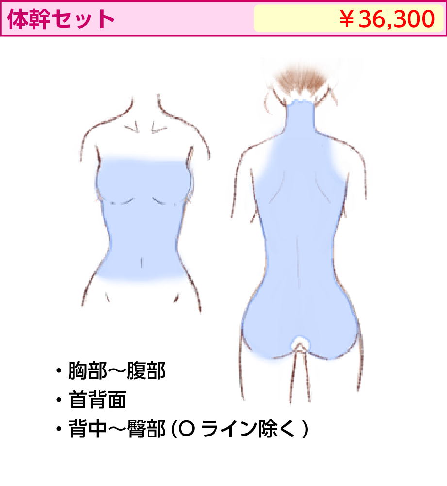 体幹セット | 医療レーザー脱毛