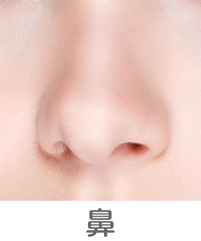 鼻の美容外科手術