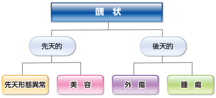 形成外科が対象としている4つの項目