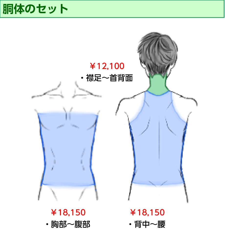 男性レーザー脱毛 胴体セット