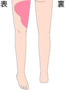 ひざ上 表
