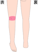 ひざ