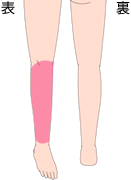 ひざ下 表